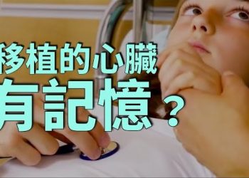 視頻【靜觀其變】器官移植導致記憶移植？被害人的心臟幫助找到了兇手！