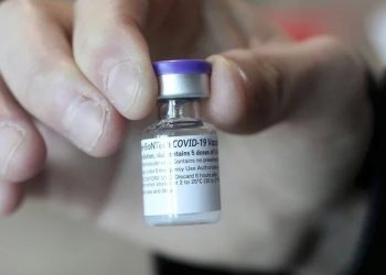 香港大學研究：輝瑞疫苗抗體高出科興疫苗9倍