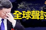 香港希望之聲