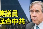 香港希望之聲