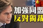 香港希望之聲
