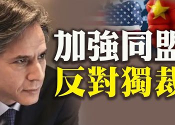 终结 加深民主同盟 有效反對獨裁【粵覽新聞】