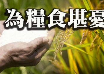 【粵覽新聞】影響大了 河南水災牽動糧食供應鏈;憑房票買房! 計劃經濟提前到來? 中國網民激烈攻擊言辭惹怒日本人（20210730）