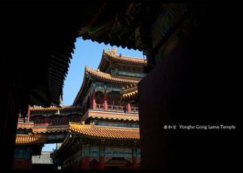 為官之道【廣結善緣千萬家_第508集】