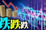香港希望之聲 香港希望之聲