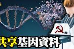 香港希望之聲