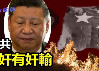 【路橋點評】奸有奸輸