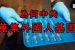 香港希望之聲