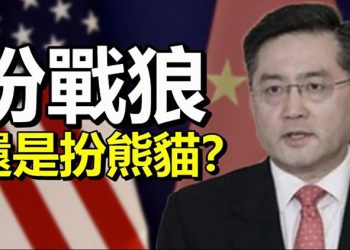 【每日要聞】扮戰狼還是扮熊貓?中共新駐美大使會見美國副國務卿; 孟晚舟案 加檢方:符合引渡標準; 中共召回大使 立陶宛議員揭:半年後就會…