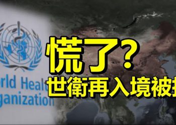 【每日要聞】中共反對世衛再次入境調查來源;輪到鍾南山了?中共官媒點名批 ;台灣海外教學將取代孔子學院?英媒曝「關鍵利多」