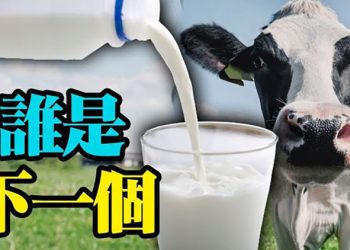 【粵覽新聞】整改輪到牛奶了 中國乳品業股價下跌