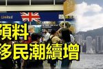 香港希望之聲