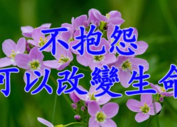 【細說人生】– 不抱怨可以改變生命