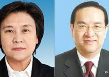 因疫情下台的蔣超良平安着陸 布小林轉任人大閑職