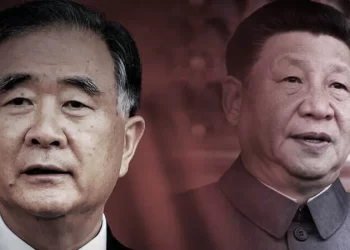 習近平不連任了？盛傳汪洋接班