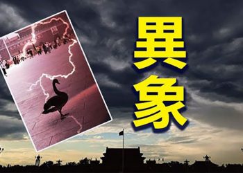 【粵覽新聞】不祥之兆？野鳥入朝大陸異象頻現；反制中共 澳爭取美國分享飛彈技術；替中共毀鐵證？港警查抄“六四”紀念館