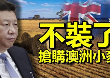 【每日要聞】中澳關係緊張下 中共搶購澳洲小麥;中共嚴控演藝圈 橫店劇組建臨時黨支部;恆大對境內外債務雙重態度?海外投資者茫然