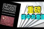 香港希望之聲