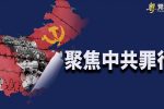 香港希望之聲 香港希望之聲
