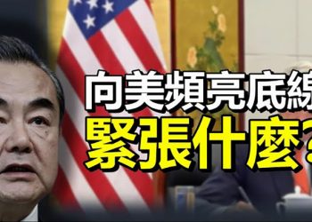 【每日要聞】王毅秦剛向美頻亮底線 緊張什麼？中共頻舉「殺豬刀」阿里巴巴捐獻1000億；港媒爆趙薇罪名「幫習近平政敵洗錢」