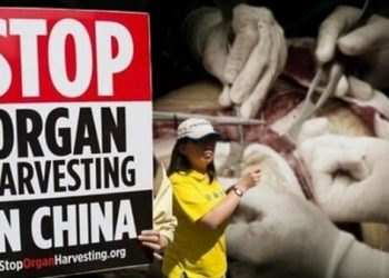 反活摘世界峰會周五登場 討論如何制止活摘暴行