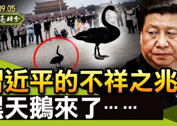 【天亮時分】習近平的不祥之兆，黑天鵝飛臨天安門，延安窯洞坍塌；華夏銀行停止購匯，房地產面臨危機；李光滿被刪文，謝霆鋒退掉加拿大國籍