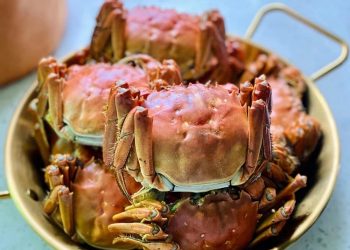 【梁廚美食】大閘蟹 Chinese Mitten crab / 菜乾北杏臘鴨腎蜜棗湯