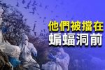 香港希望之聲