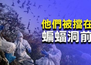 【每日要聞】心虛?中共阻世衛調查蝙蝠洞 記者遭跟蹤; 孟晚舟案後效應 逾75％加拿大人讚成封華為5G; 老大哥翻臉 俄國暫停進口多種中國食品