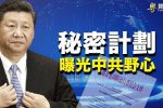 香港希望之聲 香港希望之聲