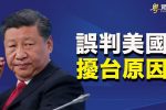 香港希望之聲