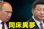 香港希望之聲