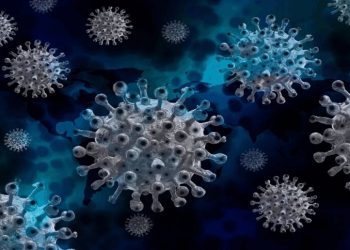 芬蘭研究：曾染疫病患體內抗體可持續至少1年