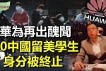 香港希望之聲 香港希望之聲