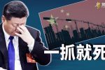 香港希望之聲