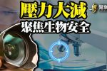 香港希望之聲
