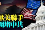 香港希望之聲