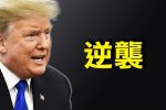 香港希望之聲
