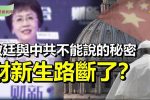 香港希望之聲 香港希望之聲