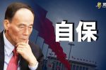 香港希望之聲 香港希望之聲
