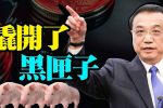 香港希望之聲