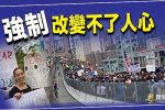 香港希望之聲