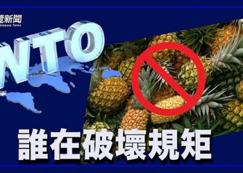 【粵覽新聞】台灣把中共告上世貿已受理 美國呼籲各國支持台灣入聯