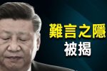 香港希望之聲