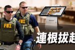 香港希望之聲
