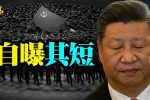香港希望之聲