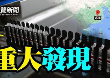【粵覽新聞】胡舒立發帖意味深長：「豬頭不受待見」； 「天上人間」背藏江澤民李先念兩大家族；報告揭武漢2019年購PCR數量急增；…