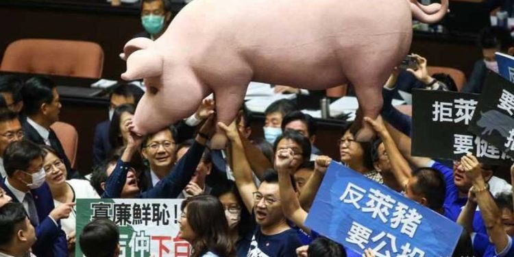國民黨自爆:反萊豬確實影響重大(網絡圖片)