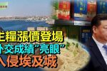 香港希望之聲