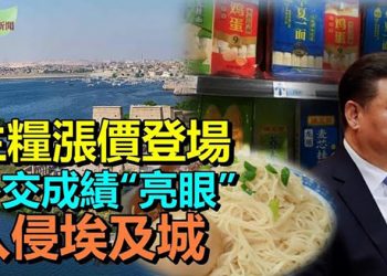 【希望聽新聞】主糧漲價登場 掛麵也漲價；網傳熱文：今年的外交成績單；消防員救人被吹捧；埃及城市遭入侵！